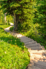 A stairs at trail in Blackwall Peak trail at Manning Park, British Columbia, Canada.