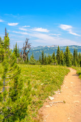 Obraz premium Beautiful Mountain Trail. Blackwall Peak Trail at Manning Park in British Columbia. Canada.