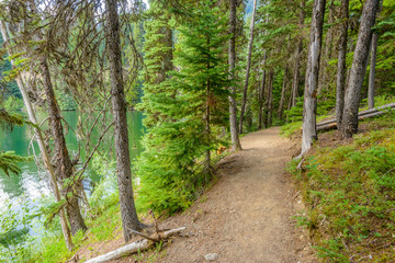 Fototapeta na wymiar Fragment of Lightning Lake trail in Manning Park, British Columbia, Canada.