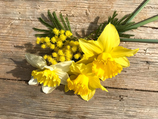 Daffodil Yellow Flowers for women's day