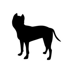 Vector illustration of an American Pitbull Terrier silhouette.