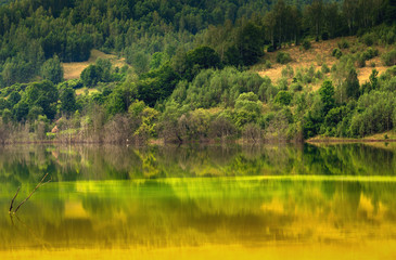 Fototapeta premium lake in the forest
