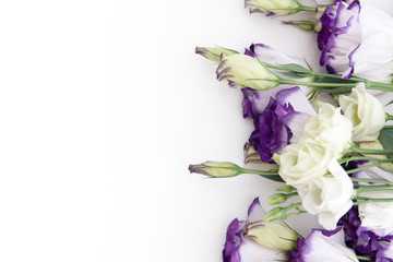 Lilac and white flowers and buds on a white background. Place for text. Blank for greeting card