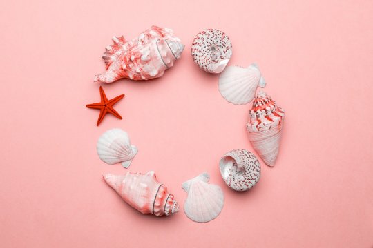 Shells pattern. Trendy Living Coral pastel color Sea shell with starfish and shells in shape frame. Summer background. Top view with copy space.
