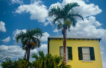 A yellow and green stucco home under palm trees in Bermuda