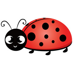 Isolated cute ladybug cartoon