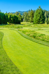 Golf course with gorgeous green