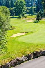 Golf course with gorgeous green