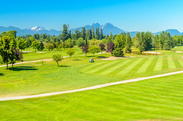Golf course with gorgeous green.
