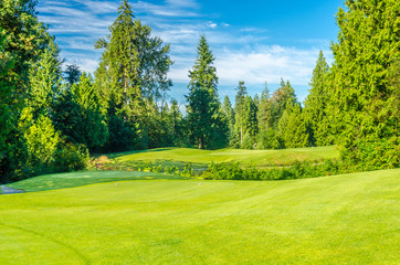 the golf course with green grass and trees over blue sky.
