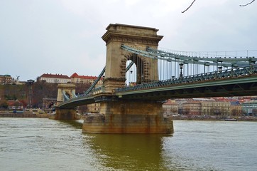 Obraz premium chain bridge over danube in budapest