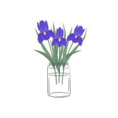 Irises in a glass jar. Blue flowers with leaves. Spring flowers. Floral composition. Vector illustration on a white background
