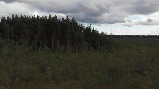 Gloomy mysterios dark forest edge pull out aerial shot heavy clouds