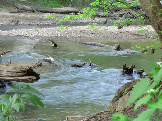 Blacklick Creek, Three Creeks Metropark, Columbus, Ohio