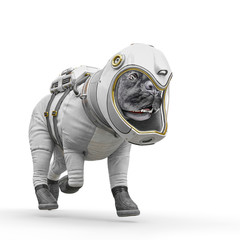 dog the astronaut floating and walking in white background