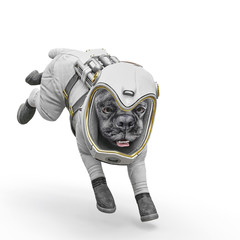 dog the astronaut landing in white background © DM7