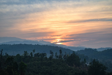 Obraz premium jungle landscape at sunrise