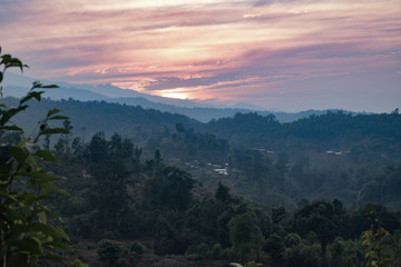 Fototapeta na wymiar jungle landscape at sunrise