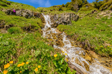 Naklejka na ściany i meble Swiss landscape with creek stream