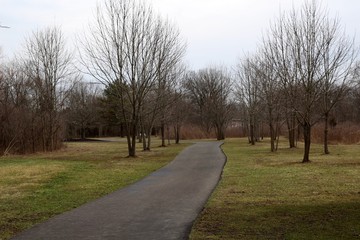 Fototapeta na wymiar The long empty blacktop pathway in the park.