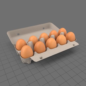 Open egg carton 2