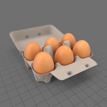 Open egg carton 1