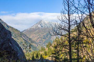 Obraz premium Alpine Lakes Wilderness