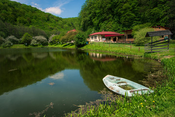 staw, dolina będkowska, zabierzów © Tomasz