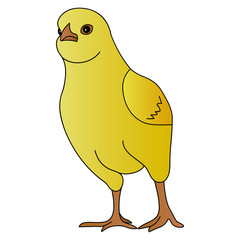 Color vector illustration of a fighting chicken ready to fight. Yellow ball. Chick on an isolated background. Cartoon style. Idea for a book, magazine, or web design. Easter mood.