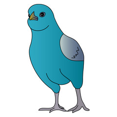Color vector illustration – a fighting bird of a budgie is ready to fight. Colorful turquoise ball. Chicken on an isolated background. Cartoon style. Idea for a book, magazine, or web design. Spring m