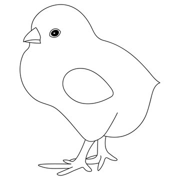Vector illustration of a plump chicken. Outline on an isolated background. Coloring book for children and adults. Idea for a book, magazine, or web design. A colourless picture for Easter. 