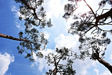 여행중에찍힌것들