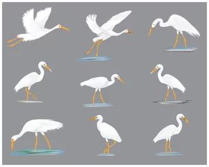 Foto op Plexiglas isolated white heron vector design © phoopanotpics