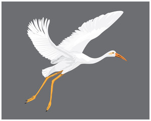 isolated white heron vector design