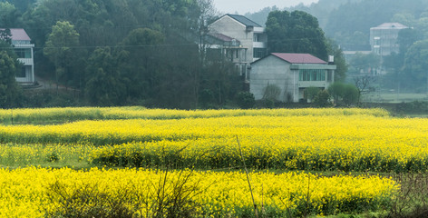 Rural scene of Hengdong County, Hunan, China