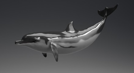 Dolphin animation of background, 3d render
