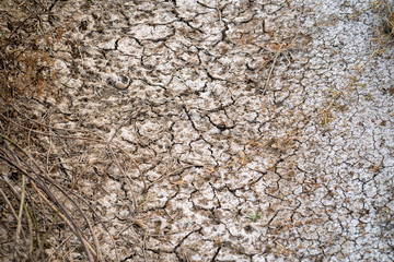 Cracked dried ground in the summer period without rain