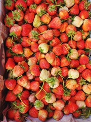 Fresh ripe juice strawberries in wood box over dark wooden background. Top view