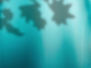shadow leaf on turquoise background design concept in underwater blue with ocean