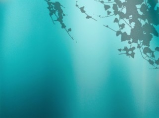 shadow leaf on turquoise background design concept in underwater blue with ocean