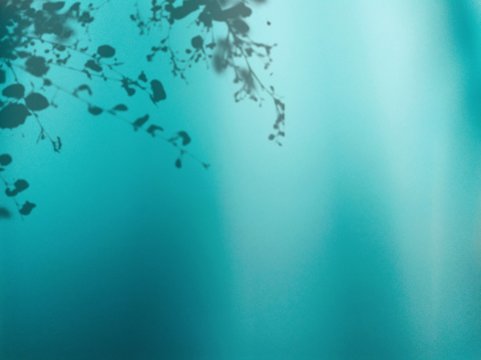 shadow leaf on turquoise background design concept in underwater blue with ocean