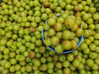 sweet fresh Indian gooseberries in a blue bowl, Indian gooseberries many with leaves,background. Amla fruit extract decrease the blood glucose.Has antiviral and antimicrobial. properties. Used in ayur