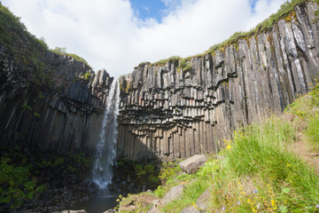 Svartifoss falls in summer season view, Iceland