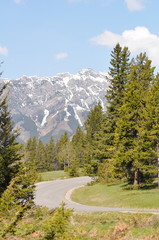 Country between mountains and trees