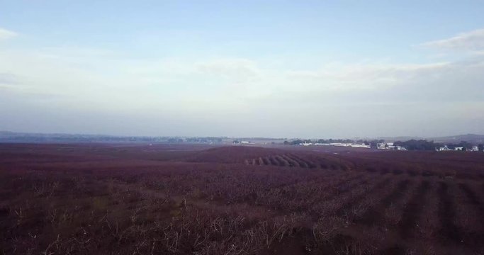 Drone over a field in Damascus
