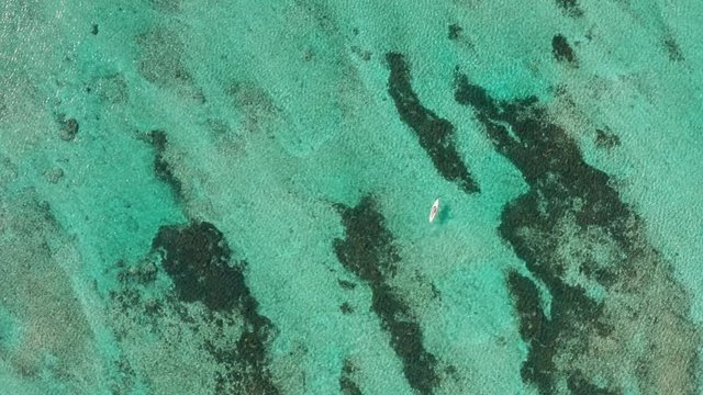 Stand up paddle boarding over tropical coral reef in Okinawa Japan drone aerial wide shot to down