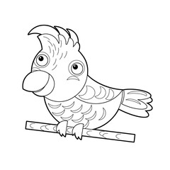 Cartoon sketch drawing australian animal bird cockatoo on white background illustration