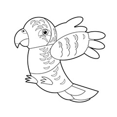 Cartoon sketch drawing australian animal bird parrot on white background illustration