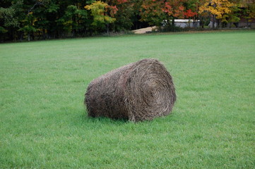 One hay bale in grass