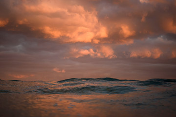 Fototapeta na wymiar waves at sunset, Sydney Australia